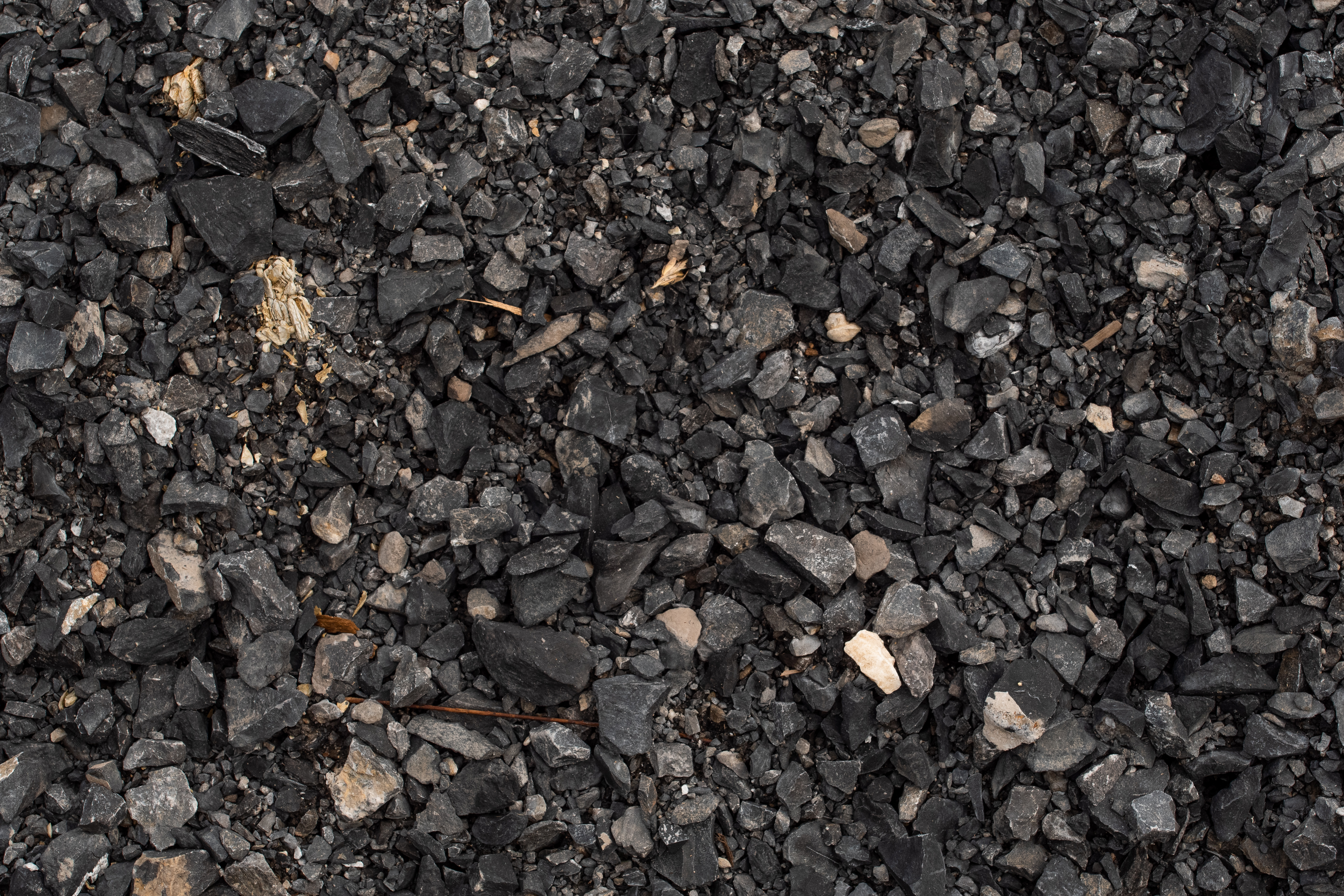 LIMESTONE 2RC Premium 2RC Limestone