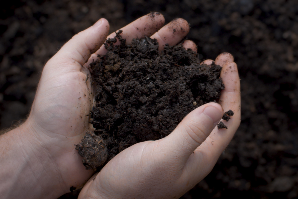 MushroomHands Mushroom Mulch Central PA